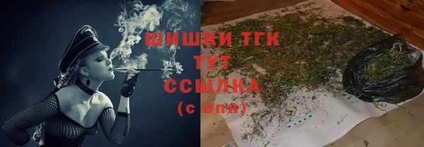 дживик Карпинск