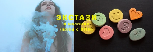 ECSTASY Каменка